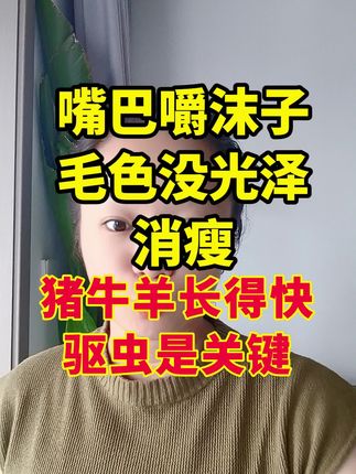 猪牛羊驱虫#自然风户外拍摄