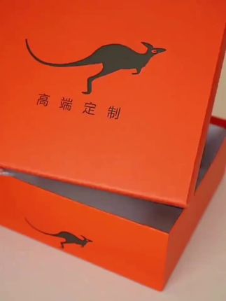 #利莱袋鼠品牌女士2025新款女包斜挎手提包生日礼物送老婆包包女友
