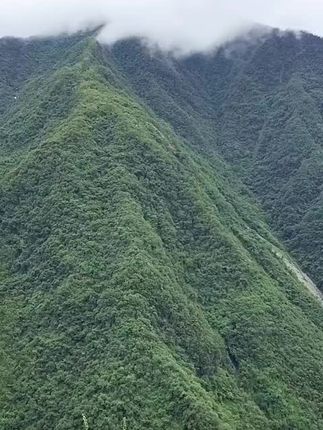看山心静,看水心宽。何以解忧唯有山水 #治愈系风景 #大山里的原生态 ##登࿆上࿆山࿆顶࿆看࿆美࿆景࿆