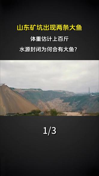 山东矿坑出现两条大鱼,体重估计上百斤:水源封闭为何会有大鱼?#科普 #涨知识 #鱼