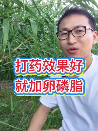 打药千万不要加洗衣粉洗洁精了,一不小心就会伤害作物,要想打药效果好,就用金赞卵磷脂,植物中提取,不伤作物不伤苗,可以使药液快速附着扩散,提高打肥打药利用率,并且能耐雨水冲刷,夏天雨水多,需要的老乡抓紧时间用用#农业种植 #蔬菜种植 #果树种植 #卵磷脂