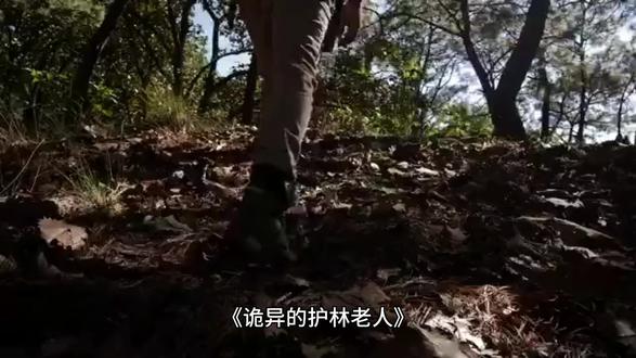 《诡异的护林老人》#民间故事