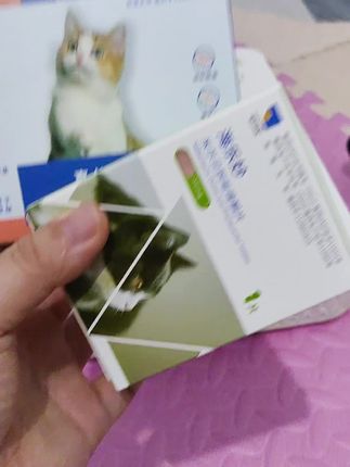 那猫咪的健康开玩笑,记得定期驱虫哟。#猫咪驱虫#喜倍安#海乐妙#海正动保