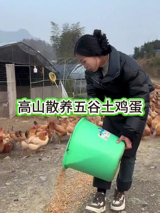#散养土鸡蛋 #营养丰富