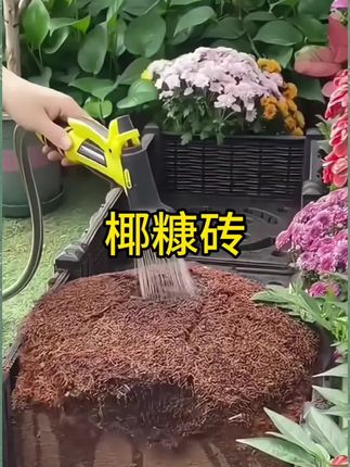 #椰糠砖 #养花种菜专用椰砖 #营养土 #正宗营养土养花专用 #爱生活爱养花