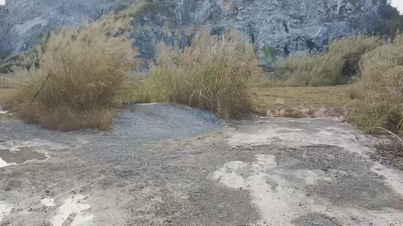 组织
策划
欺骗
TMDBO