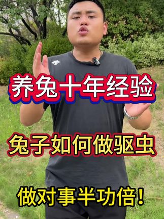 养兔10年经验,兔子,如何做驱虫,做对事半功倍!#养兔 #养兔人 #养兔专业户 #养兔技术 #养兔三分靠管理七分靠技术