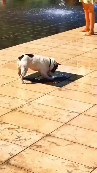 有有有什么都有哈😁😁😁