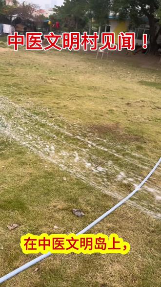 《中医文明村见闻》
今天是2025年12月2号,农历十月十三日,星期二,广东最高气温25度,无风。在中医文明岛上,我所住的院落里,对草坪的浇水,已经持续好几天了,几乎每天断断续续中,有两三个小时的喷洒,才能浇遍和浇透这块草坪,与热烈的太阳抗争着,拯救着这片绿色的生命。
今天上午,管理人员沈师傅,让我去另一个院落里浇水,他帮我把水管扯好,水龙头打开,装上带花洒的喷头,然后离开,干其它工作去了。这个院落比较广,草坪也多,住着一些中医文明村的创业人员。以前的管理人员小亮,也住在这里。我一边浇水,一边和小亮聊天。他是多年的资深管理者,对这里的环境很熟悉。他说,这块草坪有好几年了,根基深厚,草也茂密,不需要喷洒太多的水。为了节约自来水的资源和费用,还有人力物力,他建议我们抽取近在眼前的江水,来浇草坪和蔬菜,还有树木。他的说法和我不谋而合。
昨天下午,我正在给草坪浇水,刘总和蔡琳带着女儿回来,我分别询问和他们说了,直接抽取江水的奇思妙想。今天,我向小亮虚心请教。根据他的经验,这样的水管,这样的流速,每个小时就要二十立方,每立方四元,每天花费两百多元的自来水。如果买一个抽水泵,只需要一二百元,再买几卷消防管,每米才两三元,水泵和水管,可以使用很久很久,抽水用的电路也不麻烦,拉根电线就是,使用的电佤也不高。我担心管子会被过路的车子碾压,他说,可以套上一段金属管即可。是的,守着取之不尽的滔滔江水不用,却耗费自来水的资源,不环保耶!