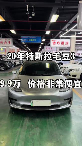 9.9米的特斯拉毛豆3!车况精品 实表10.8万!#特斯拉model3