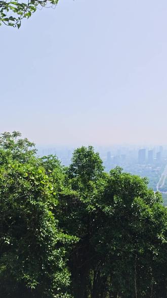 非要富士山下吗?大蜀山下不行吗?
实在不行,大蜀山上也可以啊!
#合肥大蜀山 #富士山下 #磁控保鲜60天玩的就是鲜