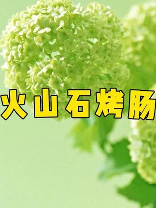 火山石烤肠120根#烤肠#火山石烤肠#真香#好吃不贵