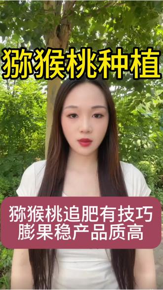 莲雾施肥好方法,果大肉甜产量高#猕猴桃 #猕猴桃种植 #猕猴桃管理 #奇异果 #果树种植