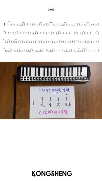 新手必看!口风琴《小幸运》教程 #小幸运 #孔声口风琴 #口风琴 #口风琴教学 #音乐分享