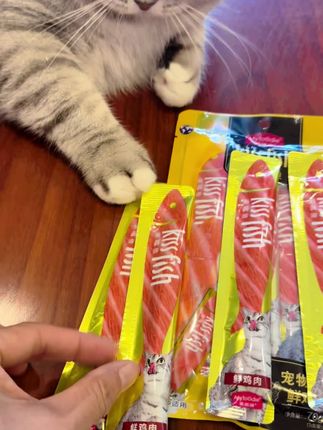 大傻不听我叨叨,但活动还的告诉大家13.9,麦富迪肉酱猫条8个,再送5根,挺划算#麦富迪#麦富迪猫条