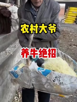 #牛#养牛#养牛人#牛犊拉稀
