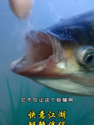 不小心的一句话,可能会影响孩子一生#父母必看系列 #育儿经验分享 #做智慧父母