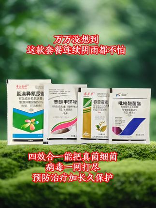 #农业知识 #农业种植 #三农种植 #新农人计划 #病虫害防治