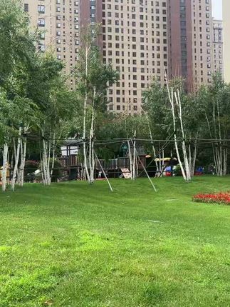 京栀坊燕窝坚果银耳羹500克/罐 口感软糯香滑饱腹代餐