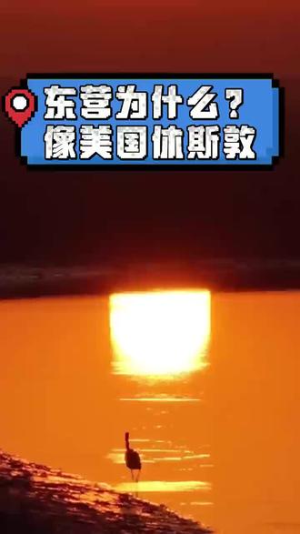 中国最像美国的城市,竟然东营#同城热点 #胜利油田 #东营同城