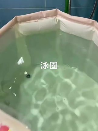 夏天来了,可以安排这款游泳圈在家里就可以游泳了 ,看孩子们游的多欢,#爱游泳的宝宝 #母婴好物 #婴儿游泳 #自己玩的不亦乐乎 @@DOU+好生意 @DOU+小助手