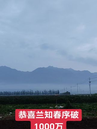 恭喜兰知春序破1000万,太惊喜了#董宇辉 #与辉同行 #兰知春序 #董宇辉拥有暖评最多的评论区 #记录真实生活