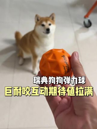 这个价格是因为它的材质十分特殊 是那种高密度的 一般用来做跑步鞋缓震 而且巨结实 就算用锯子切都要半天别说小狗牙了#狗玩具推荐 #狗狗玩具推荐