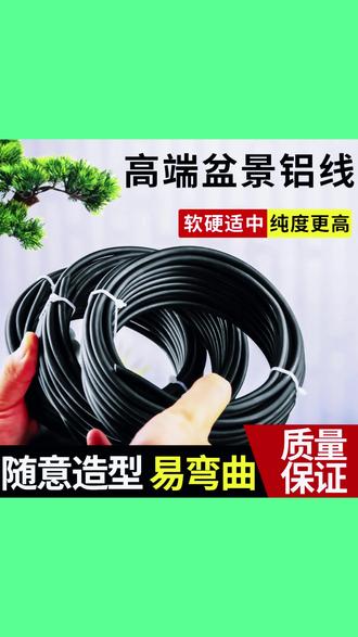 园艺造型铝线盘扎铁丝花卉植物定型 #园艺工具 #盆景造型 #植物养护 #花园装饰 #手工DIY
