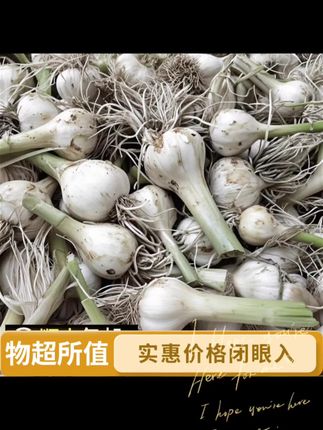 #三农 #农业种植 #优质农产品 #家庭种植 #种植