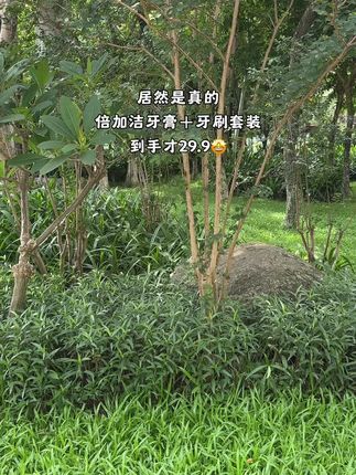 #强烈推荐 #好物推荐🔥 #牙膏 #生活必备 #我捡到宝了