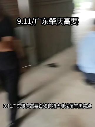 9.11广东肇庆高要松云村特大非法屠宰黑窝点嫌疑人被警察制服逮捕,希望国家能对偷盗贩卖来源不明猫狗,非法经营行为进行重判!#流浪猫救助 #猫 #狗 #猫狗 #流浪猫