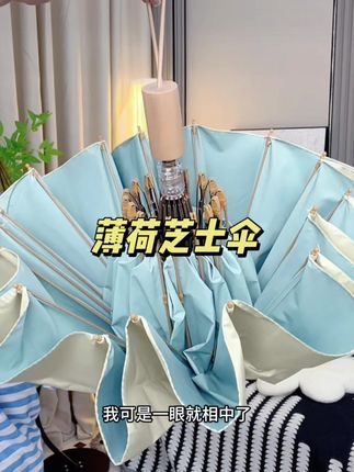 颜值巨高的一把雨伞,品质贼好,闭眼入#雨伞 #晴雨两用伞 #高颜值高品质雨伞 #遮阳伞
