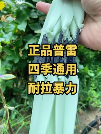 #原创视频 #原创作品 #源头实力厂家 #普雷清白 #弹弓爱好者