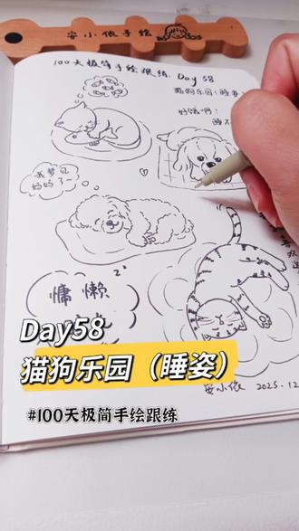 100天极简手绘跟练|Day58萌宠睡姿#安小依手绘 #跟着安小依学画画#极简手绘 #100天极简手绘跟练
