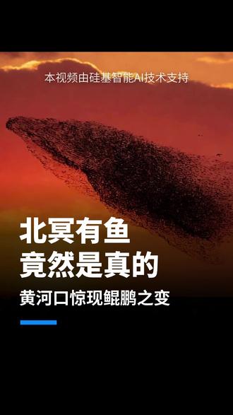 北冥有鱼竟然是真的,黄河口惊现鲲鹏之变! #逍遥游 #北冥有鱼 #庄子 #硅基智能 #OPC创业找硅基