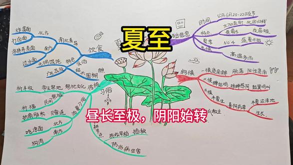 《夏至》 思维导图 夏至是二十四节气中的第十个节气
通常出现在公历6月20日至22日之间
太阳到达黄经90度时
作为北半球夏季的转折点
其名称源自“日北至,日长之至,日影短至”的天文现象
标志着日照时间达到全年最长,此后白昼渐短
它是夏季第四个节气,标志盛夏开始
这个时间的气候特点是
高温多雨(南方梅雨季)、雷暴频繁
夏至有三候
一候鹿角解:阳性鹿角脱落,阴气初生
二候蝉始鸣:雄蝉感阴气鼓翼鸣叫
三候半夏生:喜阴药草半夏在沼泽地生长
夏至有哪些传统习俗呢?
祭祀文化有
帝王祭地祈丰收
以及民间祭祖祈福
消夏习俗有
赠送折扇脂粉(妇女防痱)
吃凉面(北方)/狗肉荔枝(南方)
农耕节点有
抢收早稻、插秧("夏种不让晌")
防治病虫害(田间管理关键期)
饮食文化也存在南北差异
北方吃炸酱面、打卤面
南方吃凉拌荞麦面、过水面
特色食俗有
无锡馄饨("混沌和合")
广东荔枝("夏至狗肉荔枝,食后不热")
绍兴圆糊醮jiào(祭祀祈福)
夏至不仅是天文历法的节点
更是农耕文明与自然对话的智慧结晶