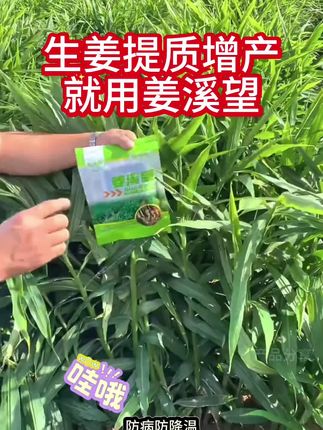 #太溪邦