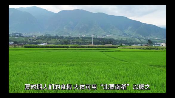 揭秘:夏商时期人们的食物