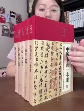 #书法进阶秘籍 #王羲之笔法精讲 #赵孟頫行书教程 #三希堂法帖全解 #颜真卿书法 彩绘一本通,助你提升书法水平!