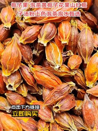 【栀子】 栀子果 泡茶黄栀子花果山红栀子汤粉上色泡茶泡水261g甄选