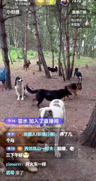 @李三臧 部分直播内容录屏#原生态乡村生活