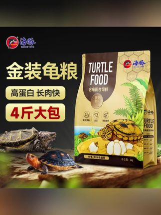 #郝邵文 推荐 海豚金装龟粮金钱龟饲料鳄龟草龟麝香龟苗乌龟饲料高蛋白海豚龟粮#金装龟粮 #龟粮 #龟饲料 #乌龟饲料