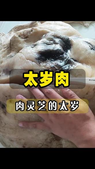 如果你在野外看到这种,Q弹的块状物,那么你一定不要错过它#有趣的冷知识 #科普知识 #奇闻趣事