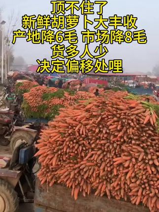#胡萝卜 #三农 #抖音助农 #优质农产品 #支持三农扶持三农发展 @巨量千川