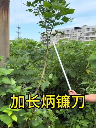 加长镰刀砍割一体,农用割草开荒超带劲#镰刀 #柴刀 #长柄镰刀 #农用割草镰刀