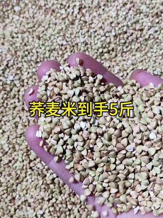#五谷杂粮 #优质农产品 #粗粮 #荞麦米 #荞麦米的功效