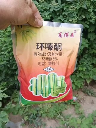 #除草剂#除草剂到底有没有必要买 #除草@DOU+小助手