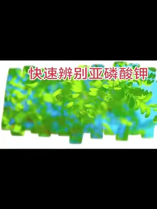 快速辨别亚磷酸钾……#亚磷酸钾 #大量元素水溶肥 #亚磷酸钾和磷酸二氢钾 #农资 #肥料