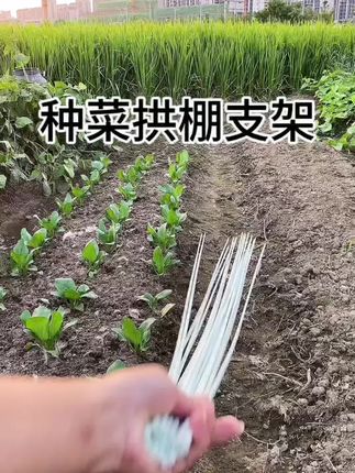 大棚支架拱杆菜棚蔬菜地小拱棚保温棚新型实心玻璃纤维杆农用育苗#玻璃纤维杆拱棚支架 #大棚支架 #蔬菜大棚支架