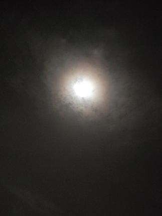 #晚上等着看血月,就拍了个十五的月亮十六圆,看看夜景也挺好的 #愿我所有的家人朋友健康平安